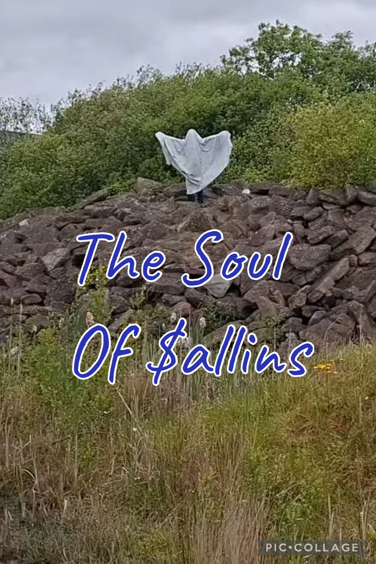 The Soul Of Sallins