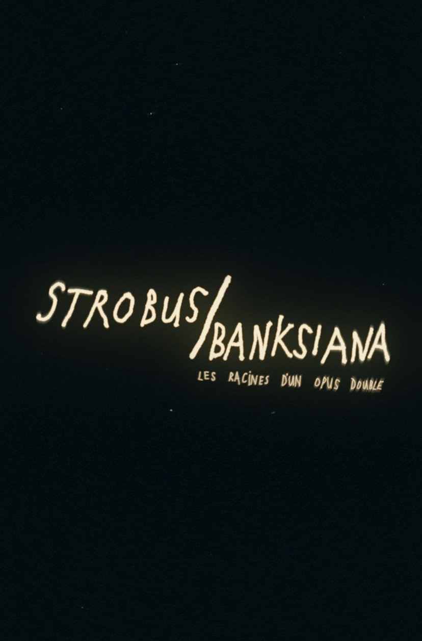 Strobus / Banksiana : les racines d'un opus double