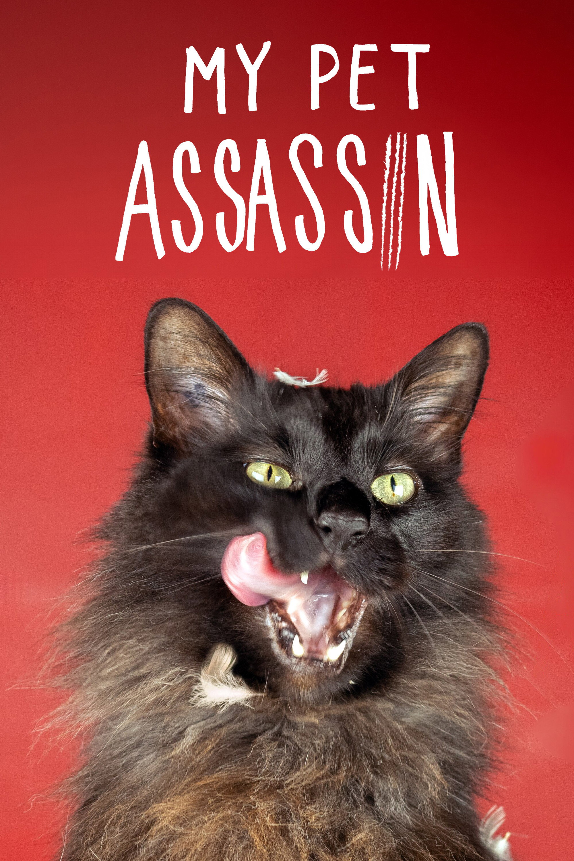 My Pet Assassin