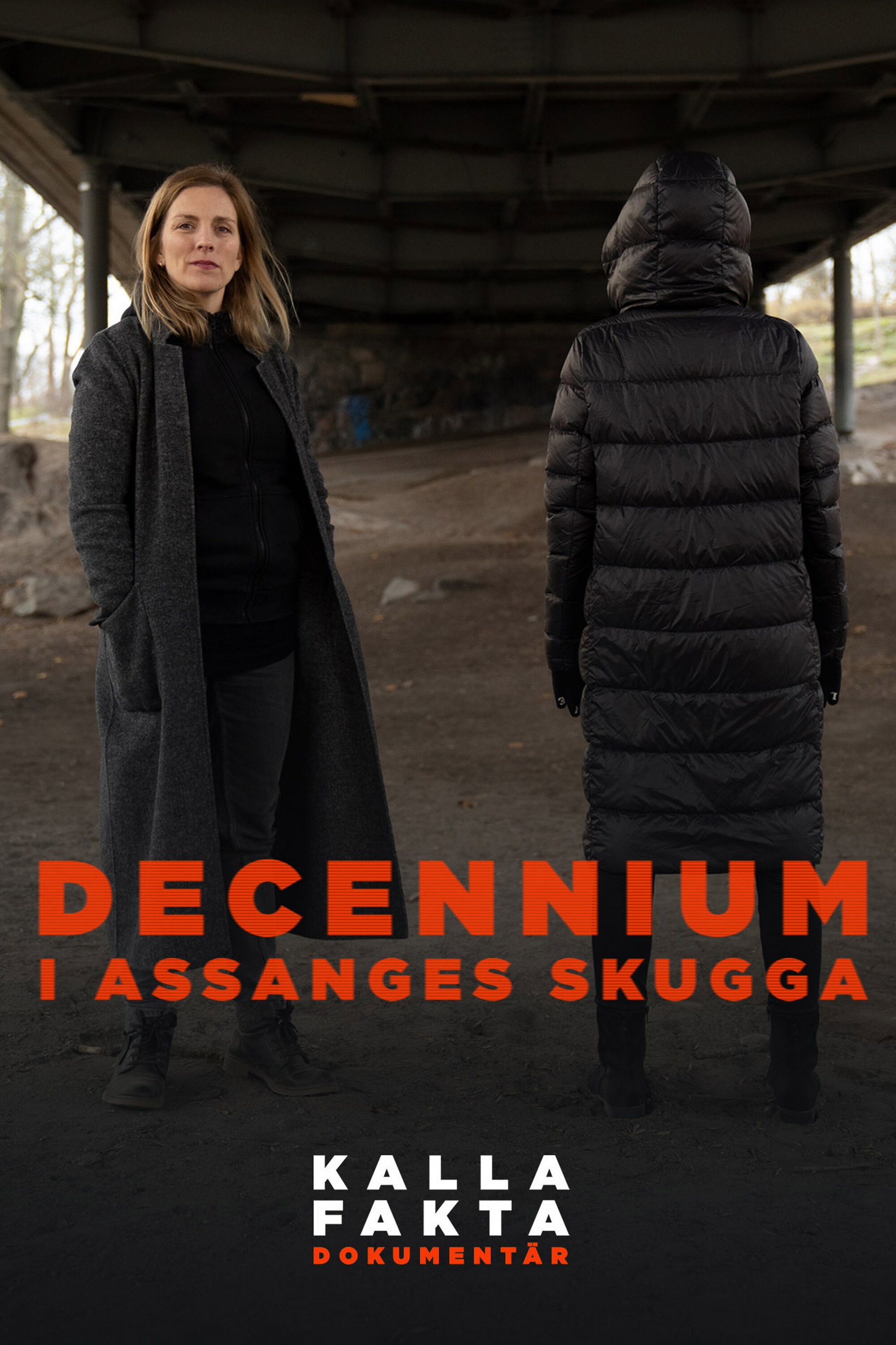 Kalla fakta dokumentär: Decennium, i Assanges skugga