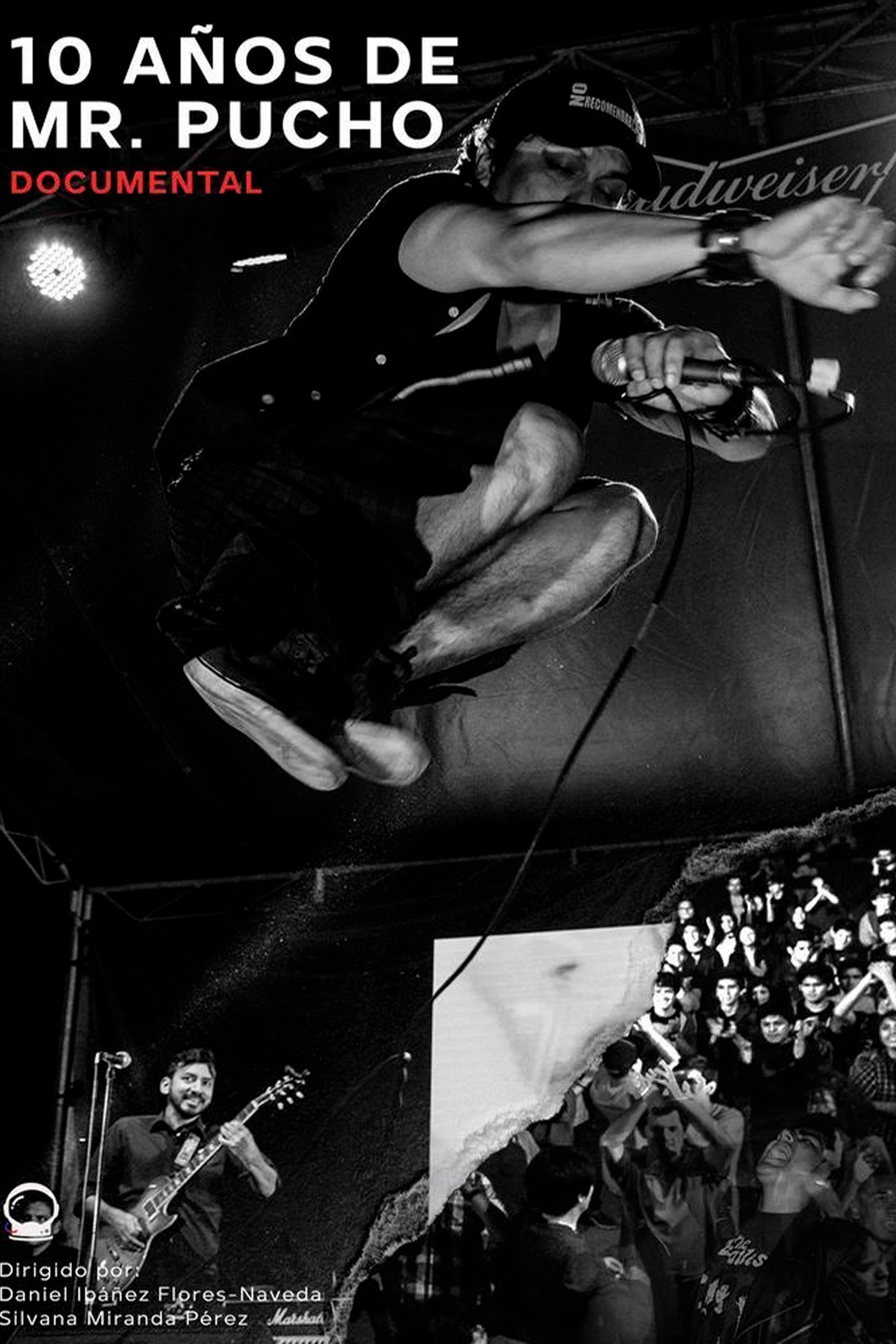 10 años de Mr. Pucho