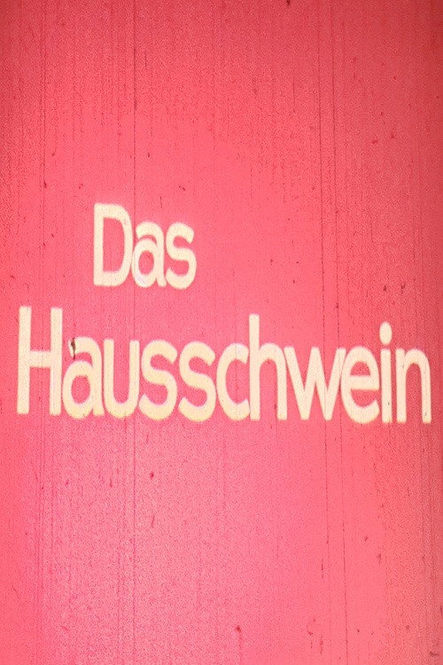 Das Hausschwein