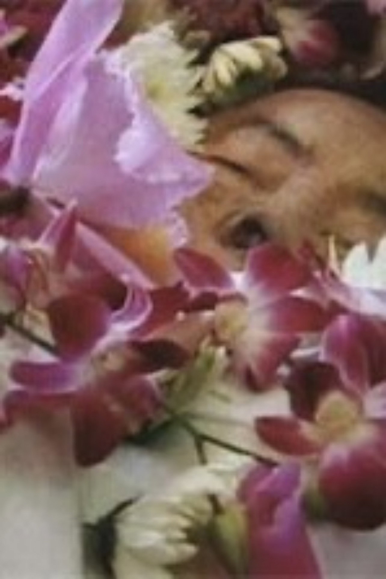 位相