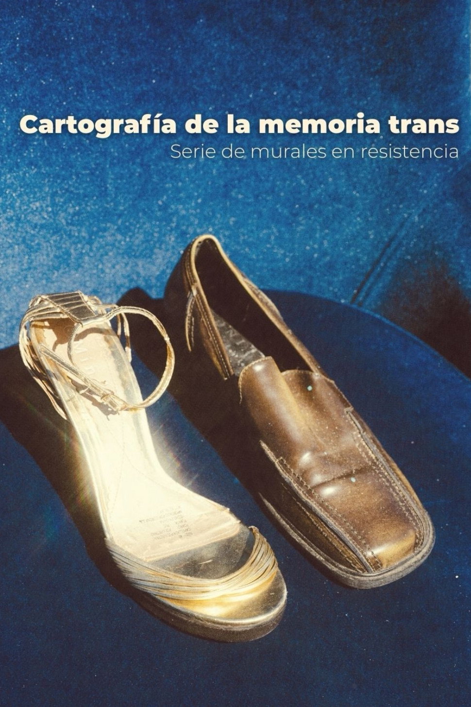 Cartografía de la Memoria Trans: Serie de murales en resistencia