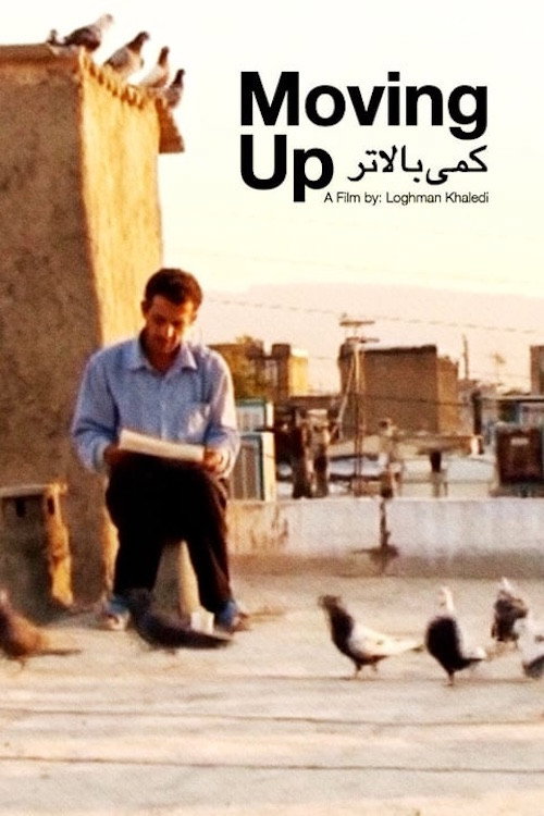 کمی بالاتر