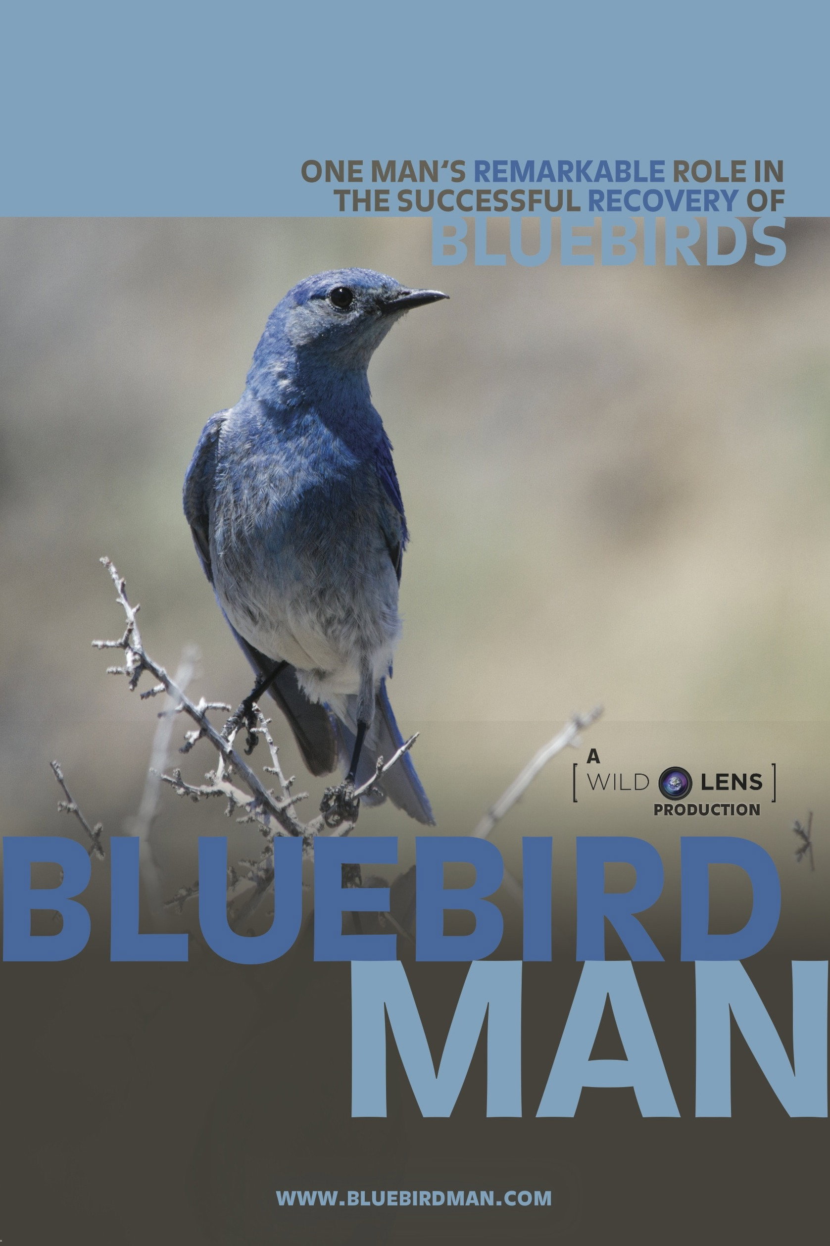 Bluebird Man
