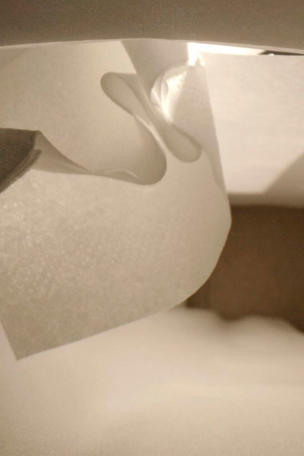 Tissue Technology
