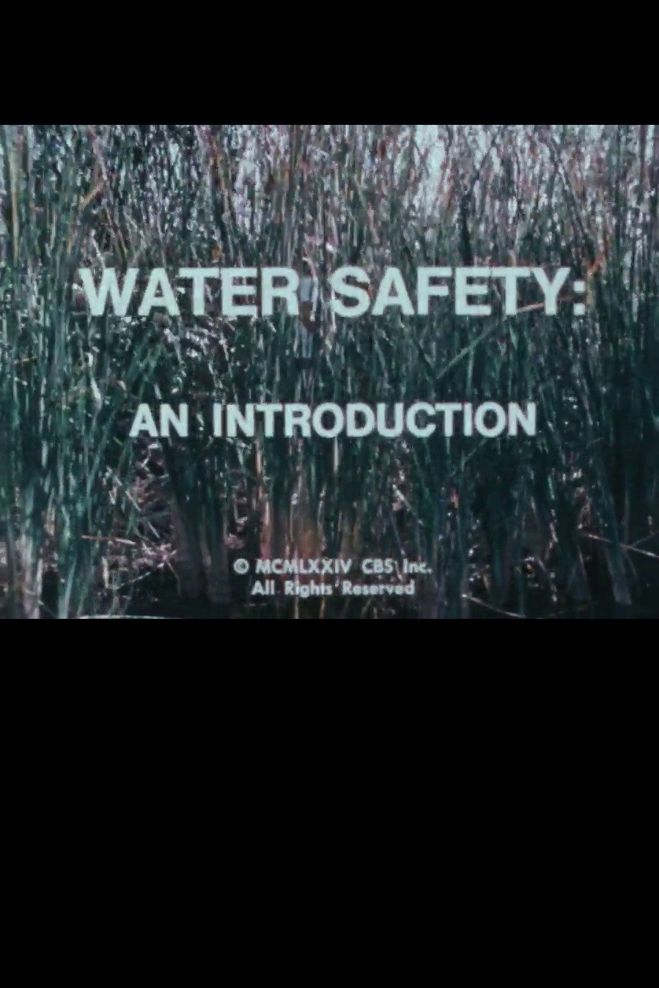 Water Safety: An Introduction