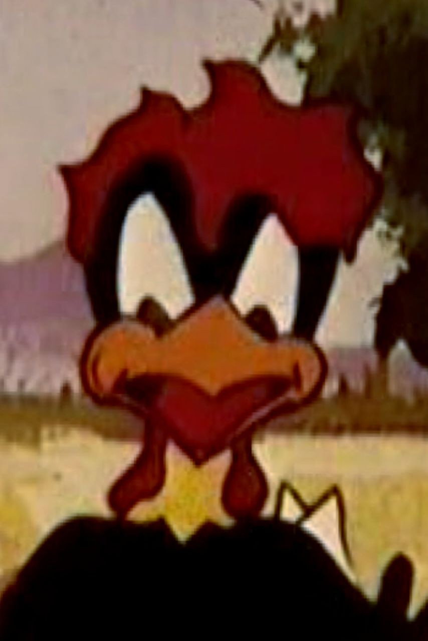 خوشه گندم