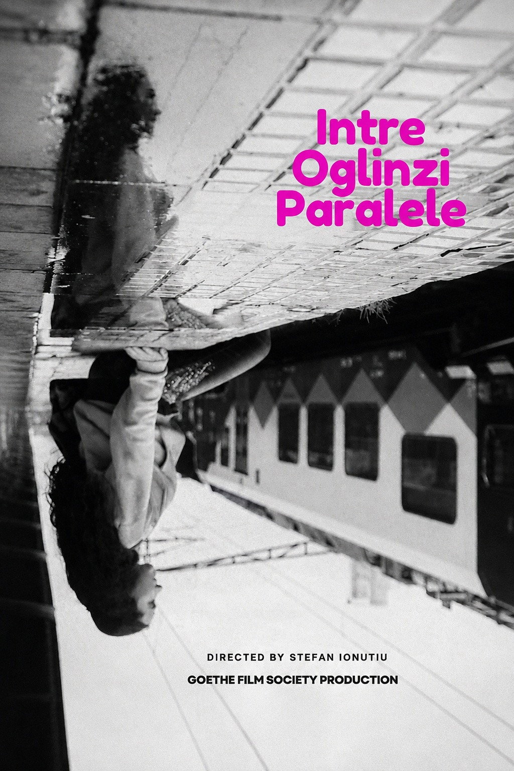 Intre Oglinzi Paralele