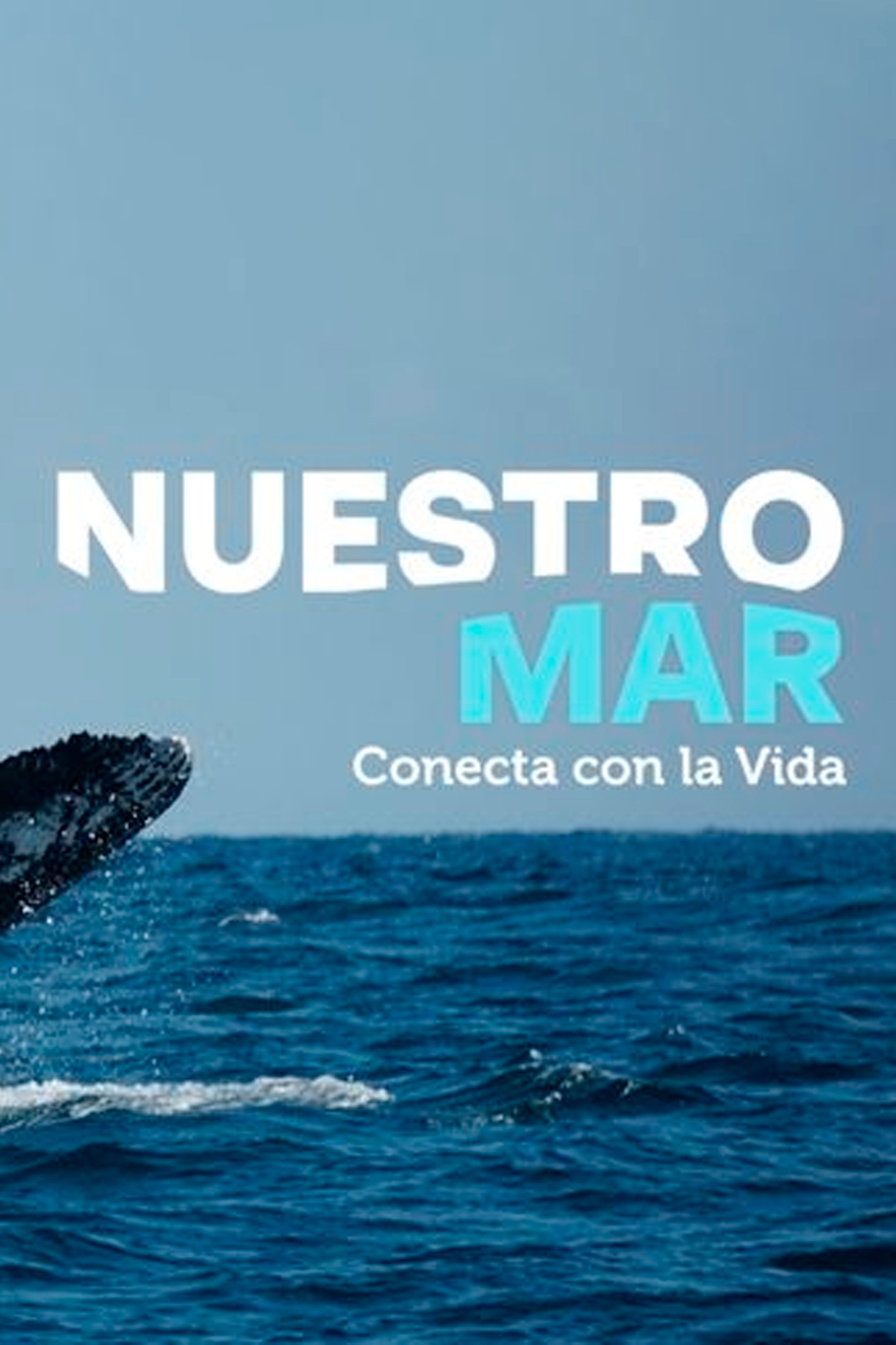 Nuestro mar: Conecta con la vida