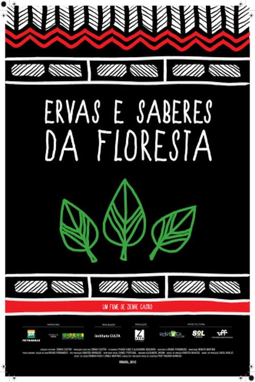 Ervas e Saberes da Floresta