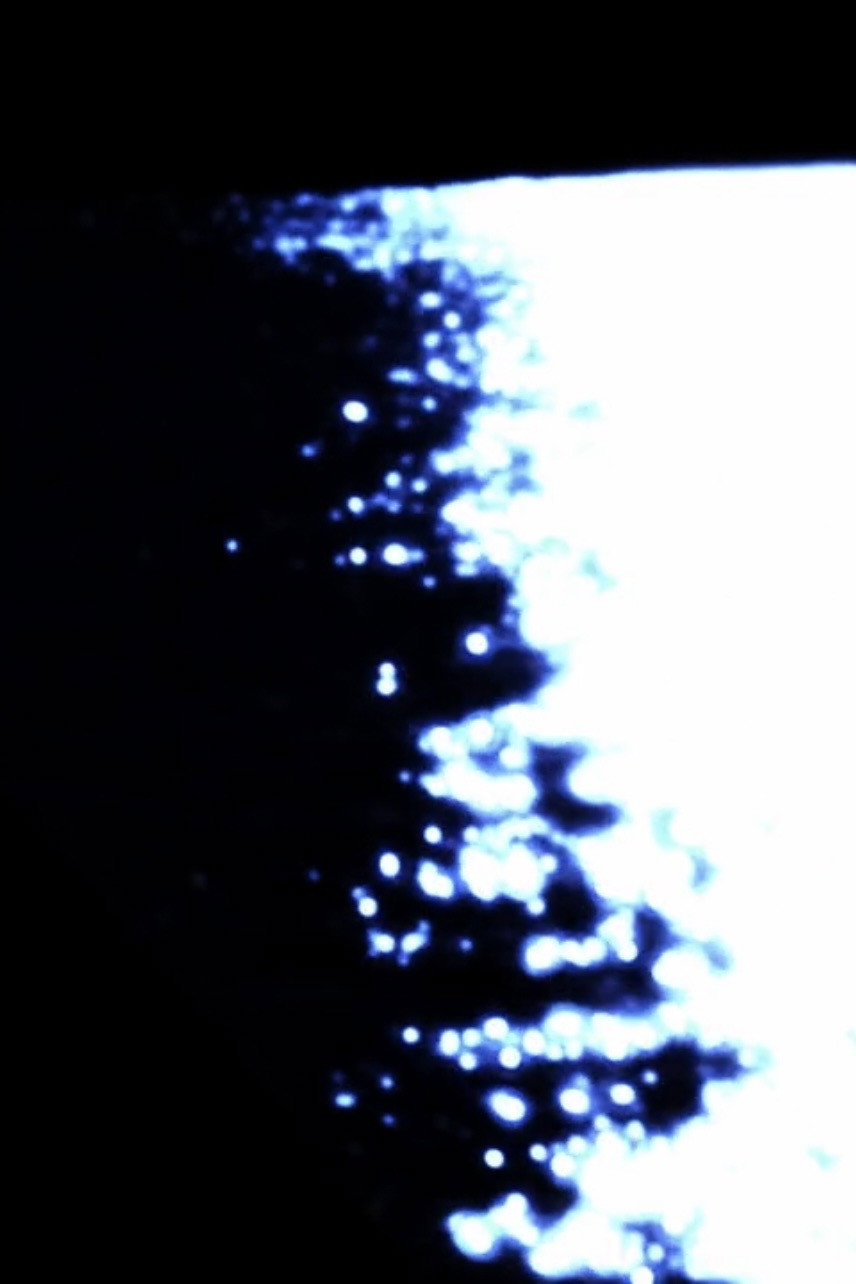 Somnus Aureoles