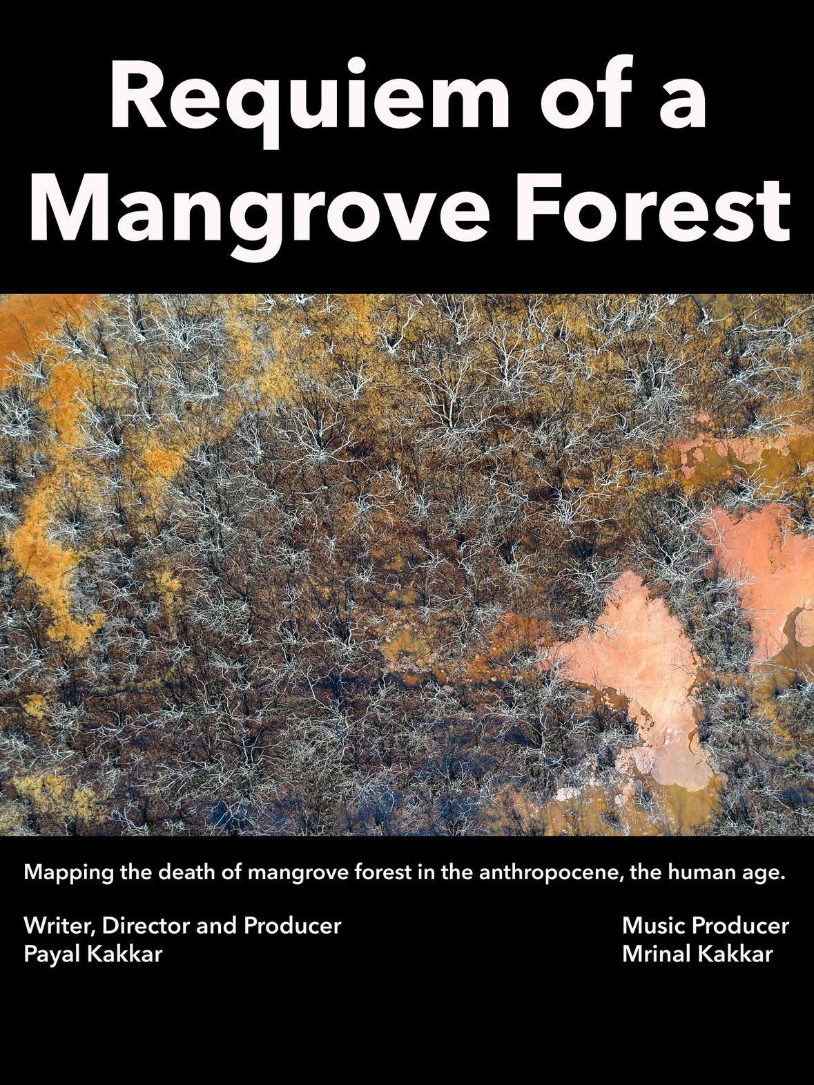 Requiem of a Mangrove Forest