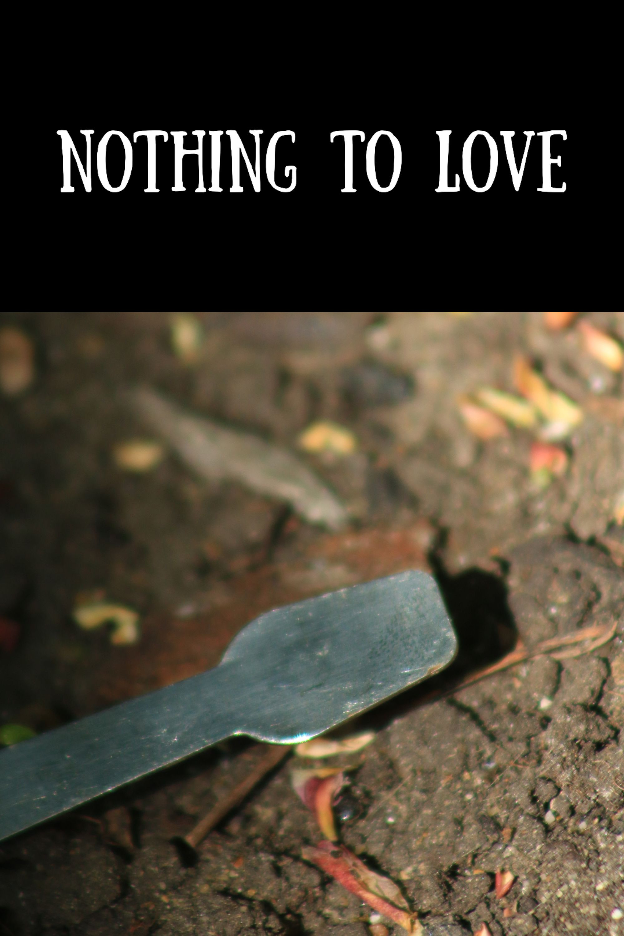 Nothing to Love