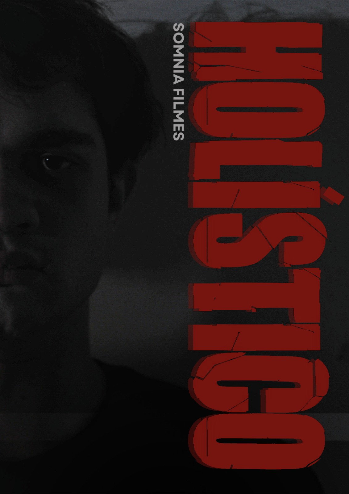 HOLÍSTICO