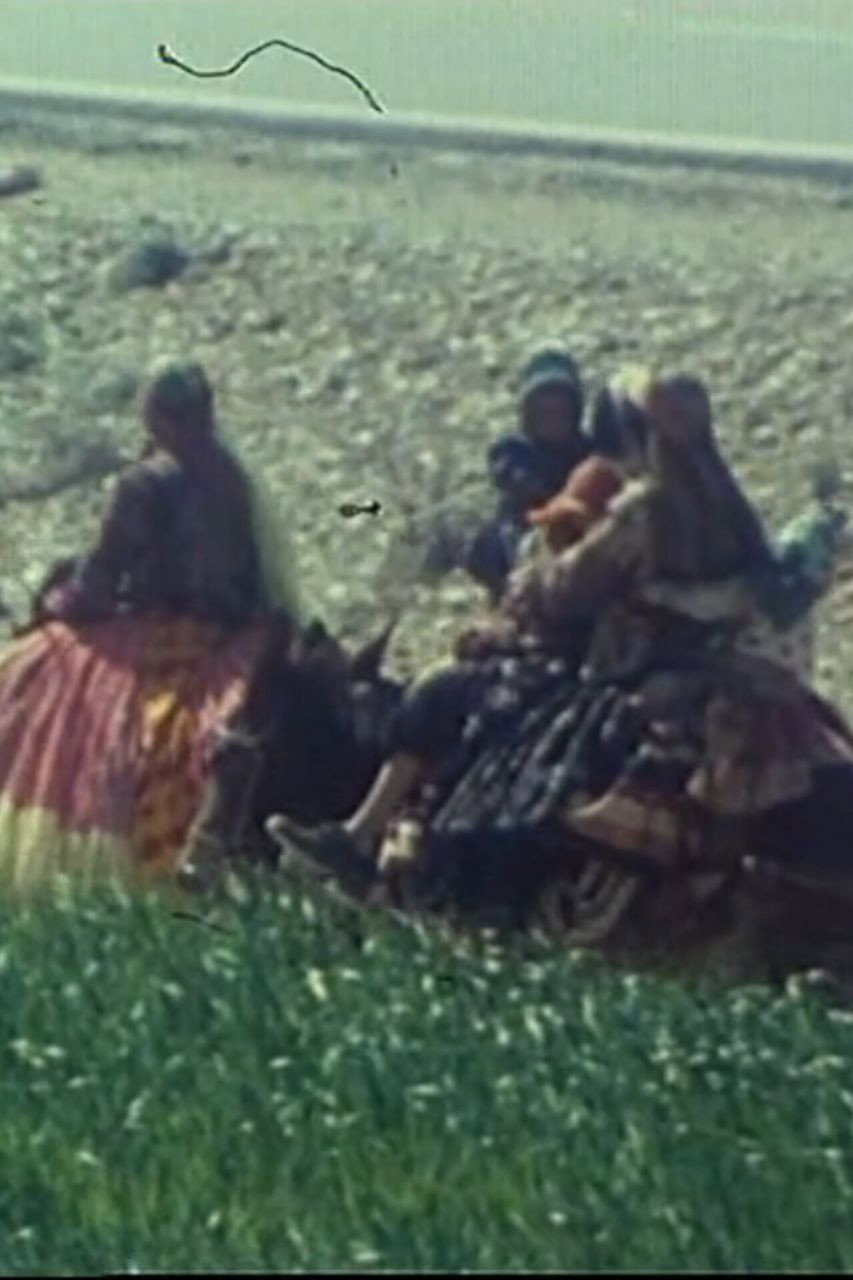 محرم در ابیانه