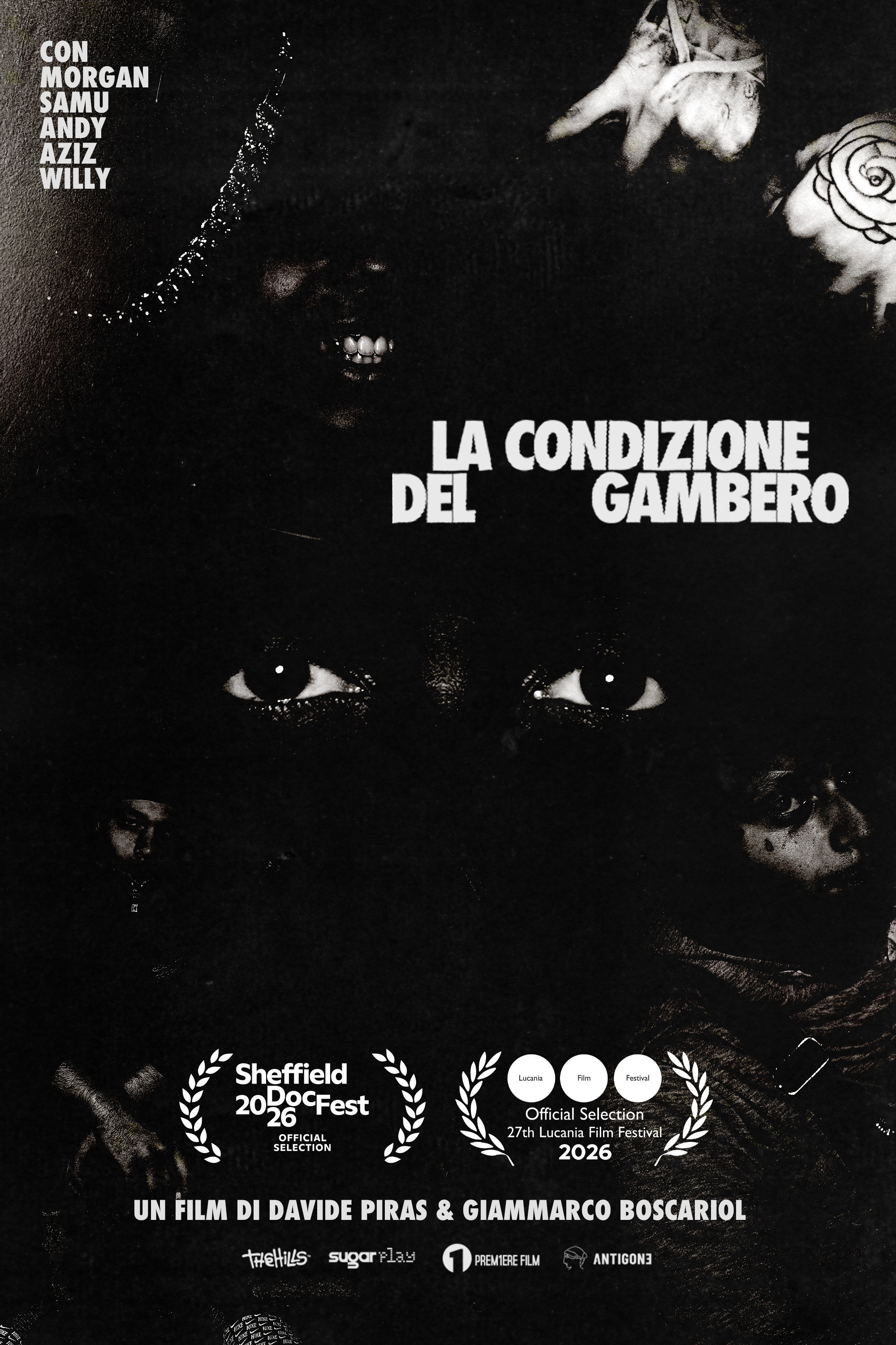 La Condizione del Gambero