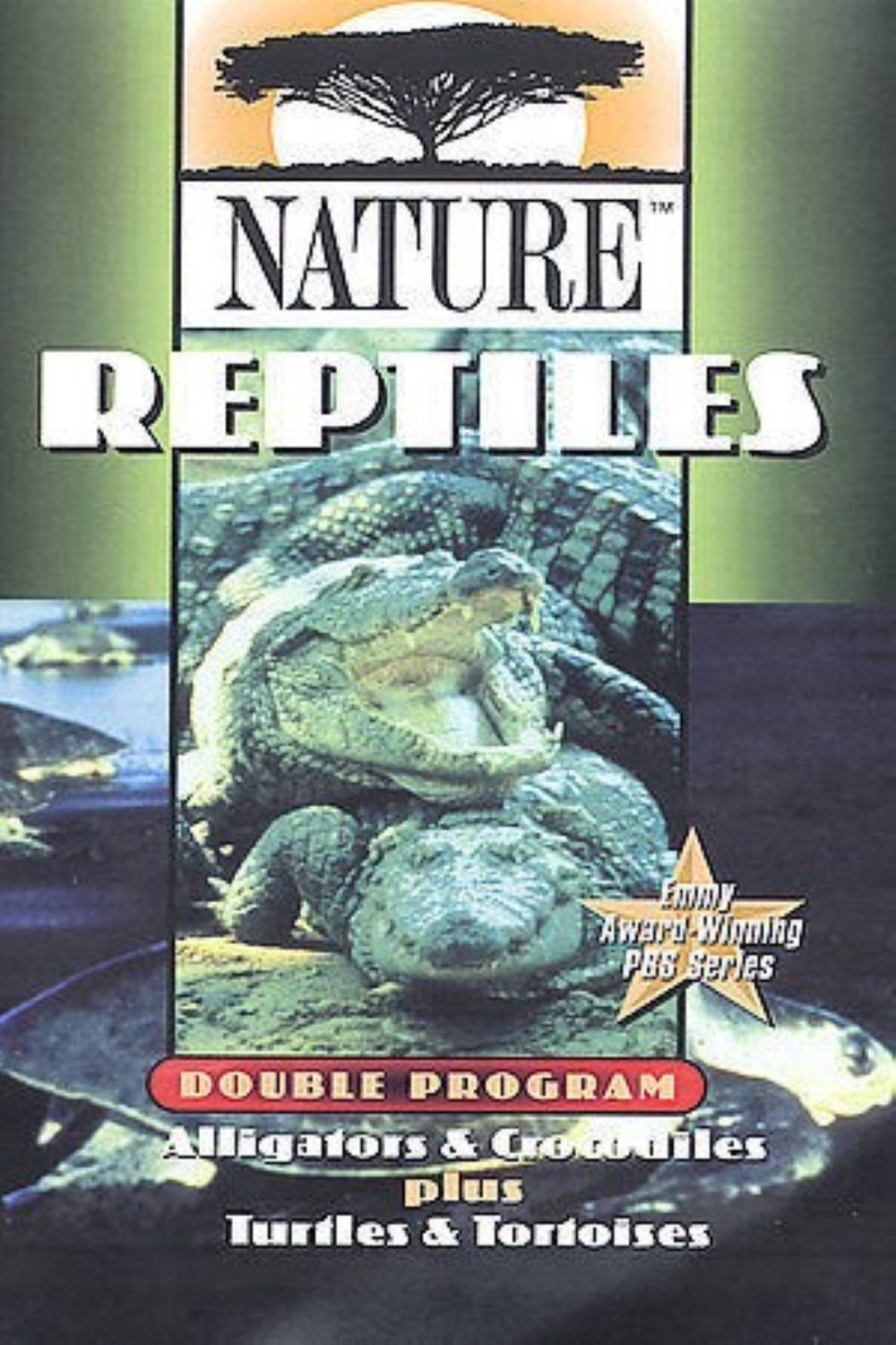 The Reptiles: Turtles and Tortoises