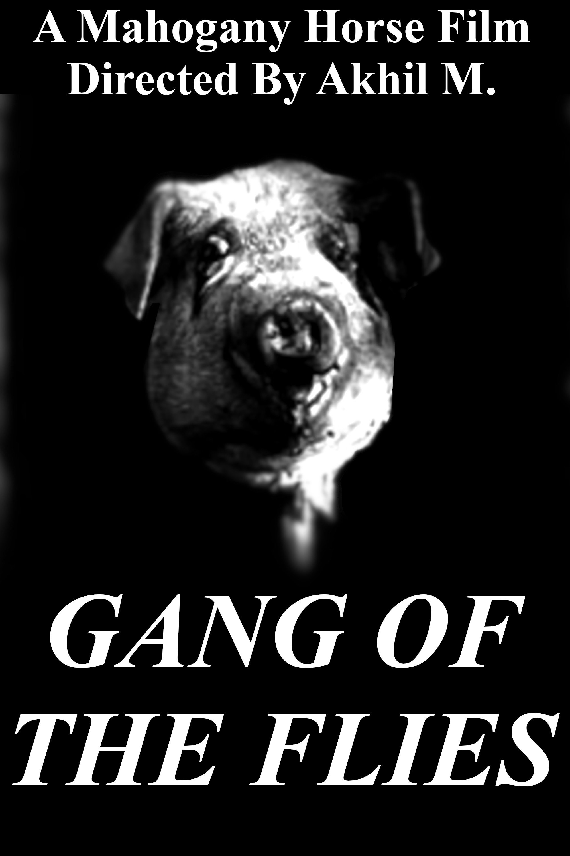Gang of the Flies