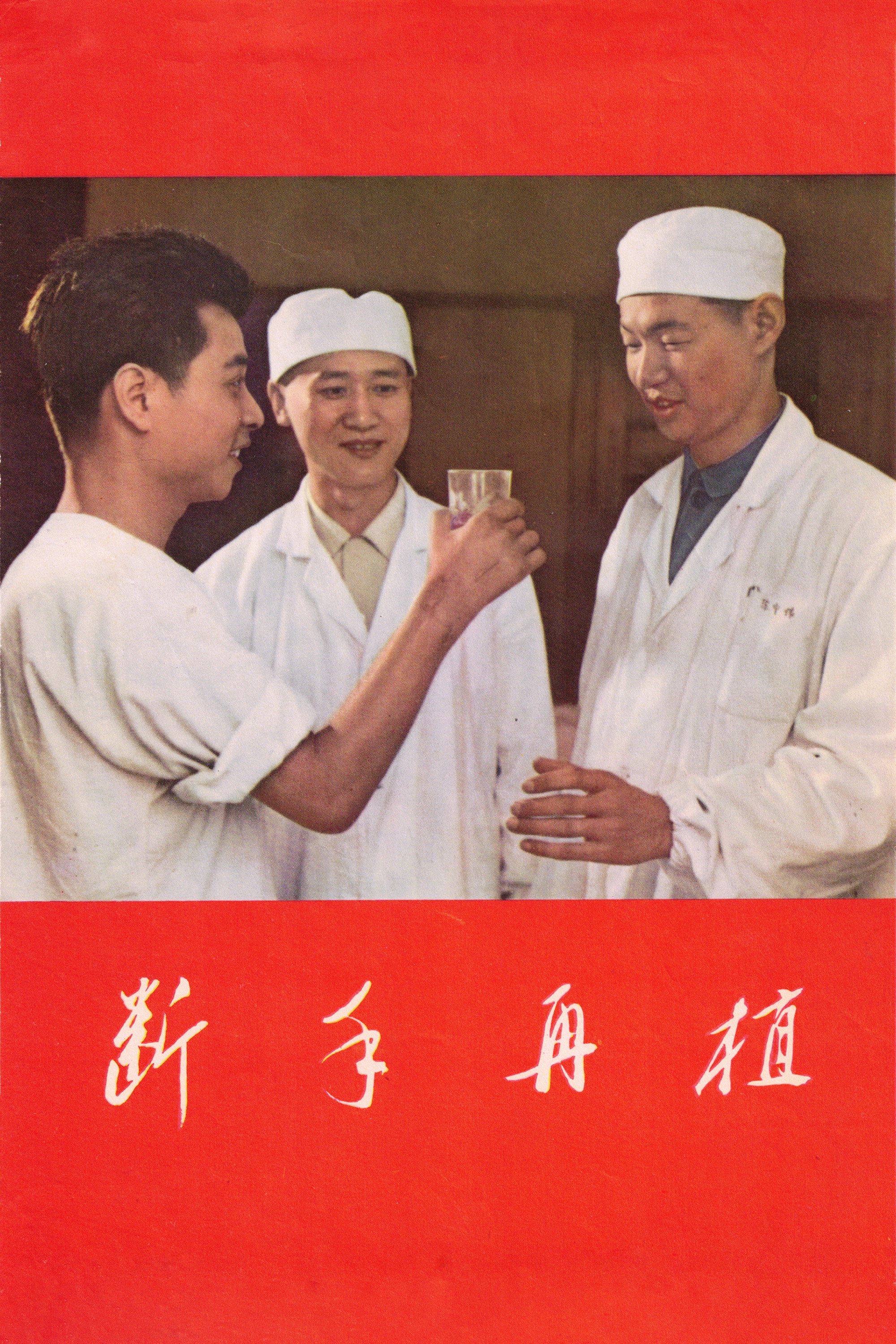 断手再植