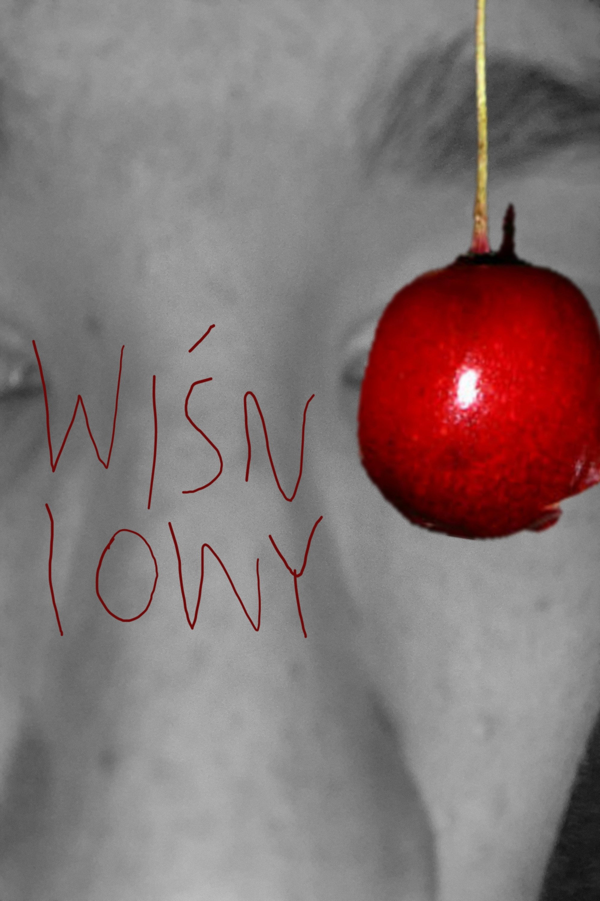 wiśniowy