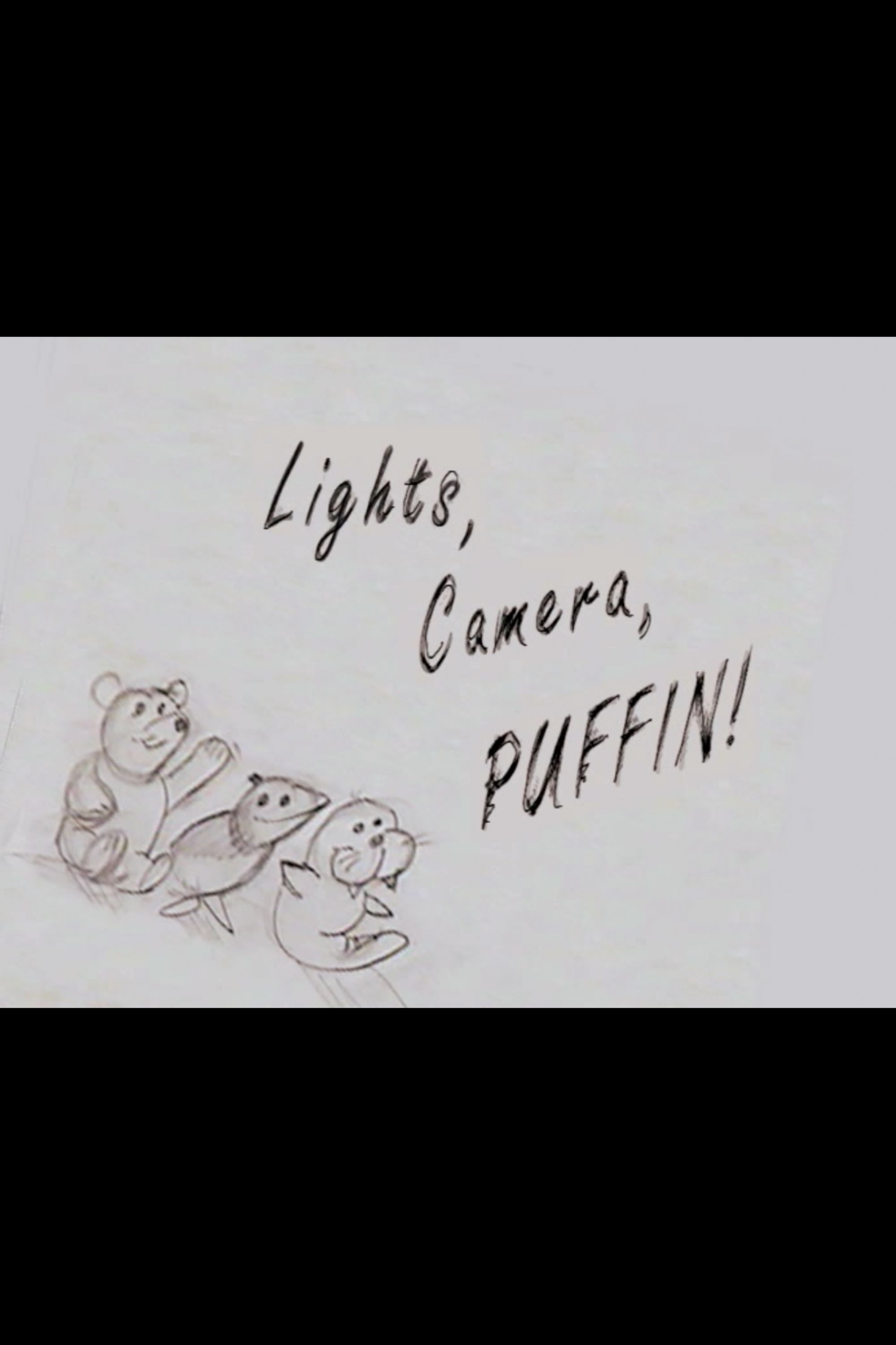 Elf: Lights, Camera, Puffin!