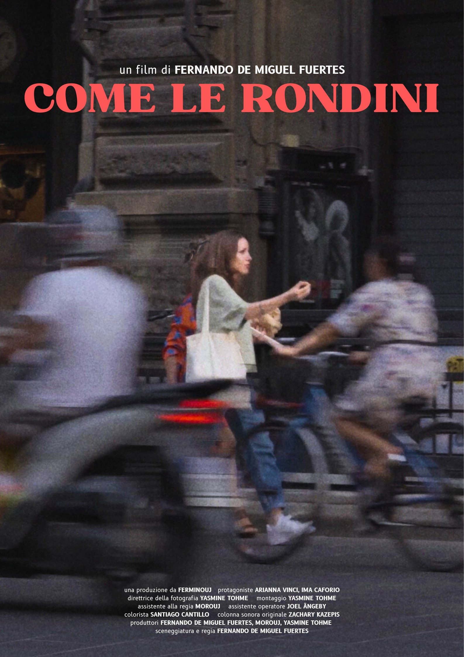 Come le rondini