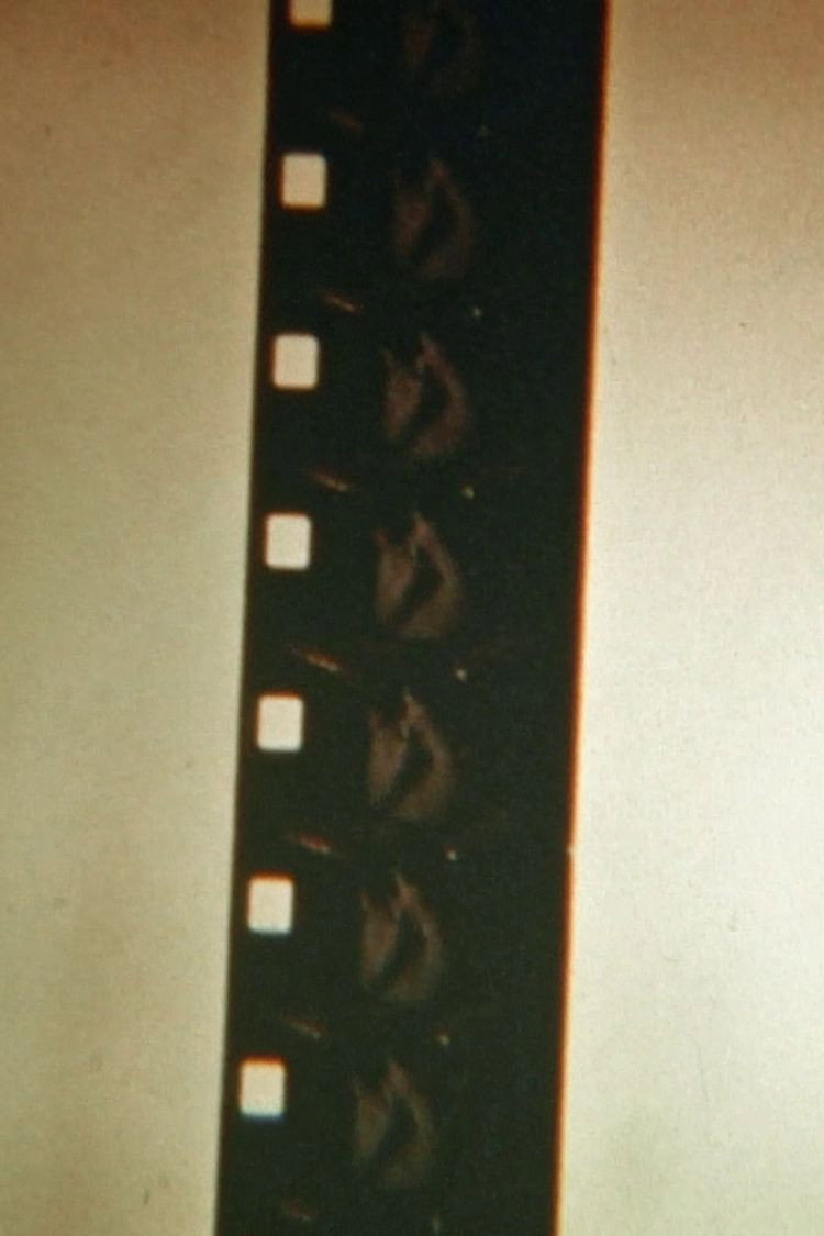 子供達のための映画