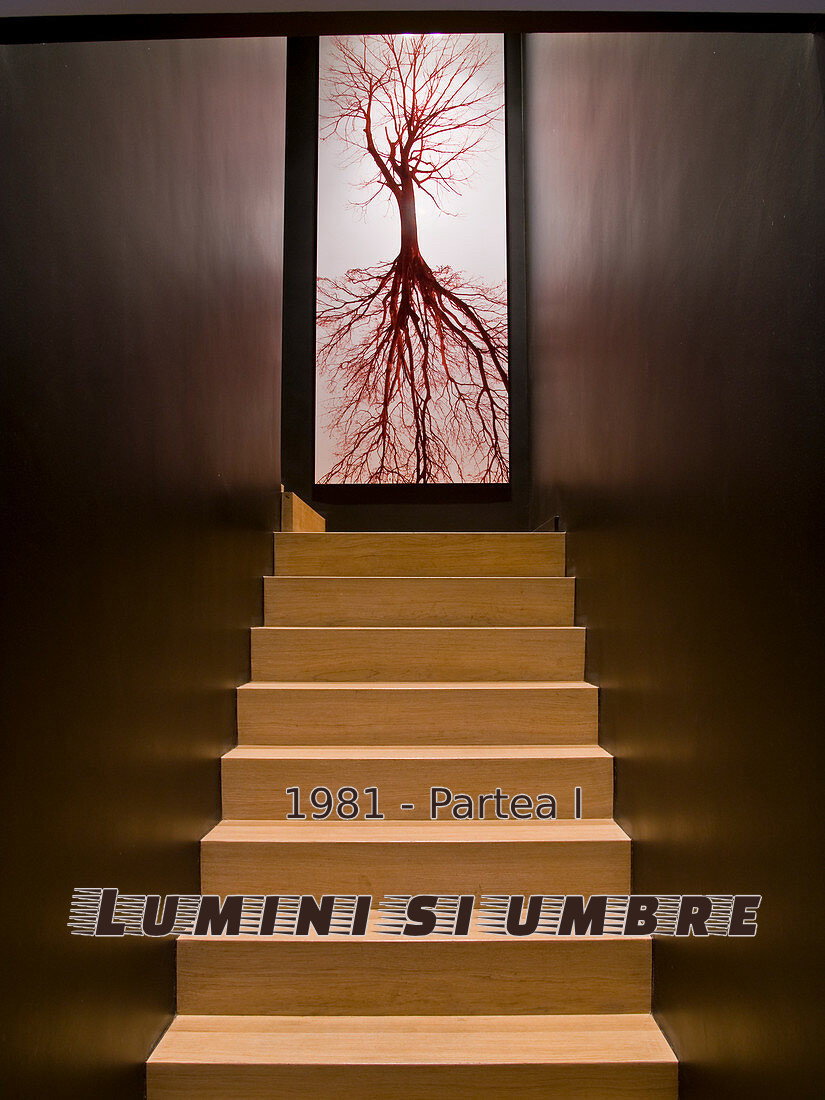 Lumini si umbre: Partea I