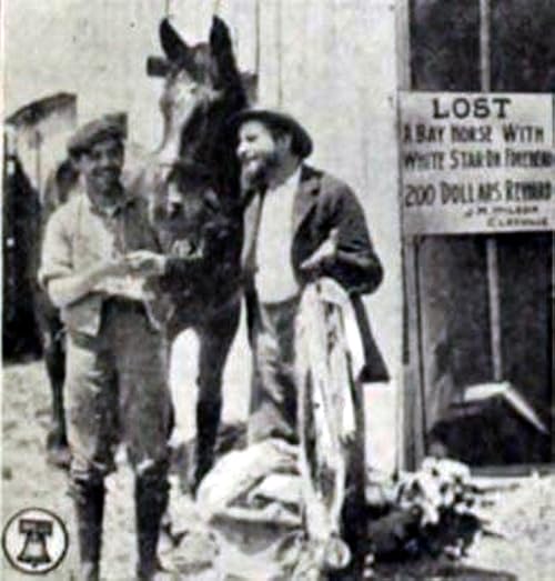 The Lost Horse