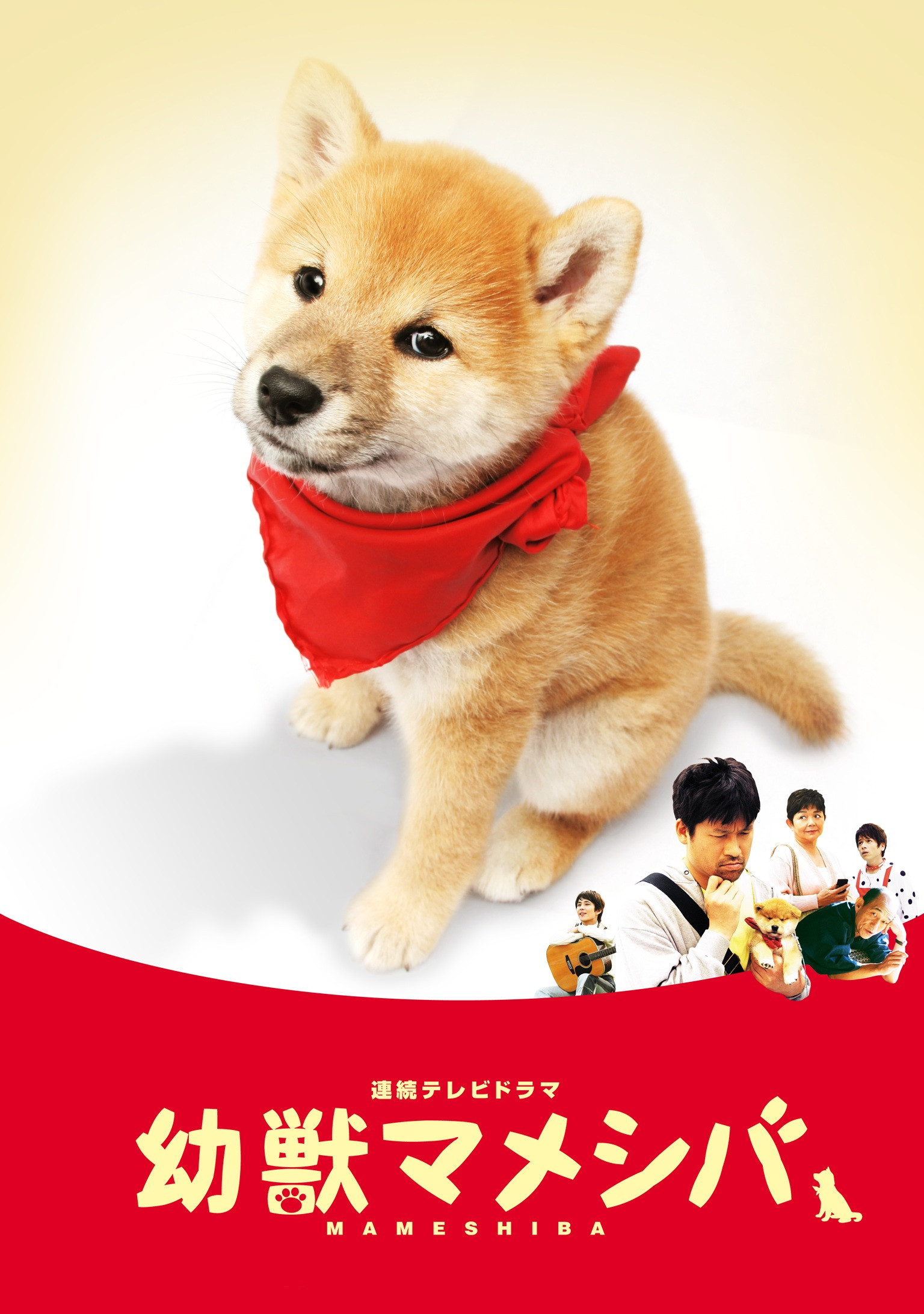 幼獣マメシバ