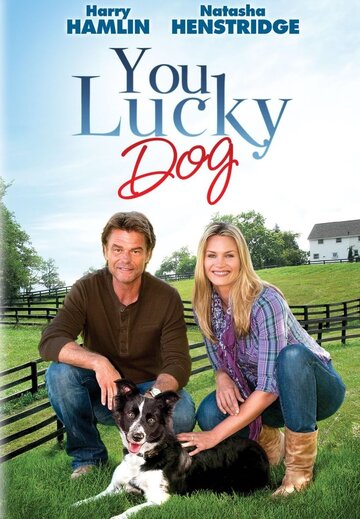 You Lucky Dog