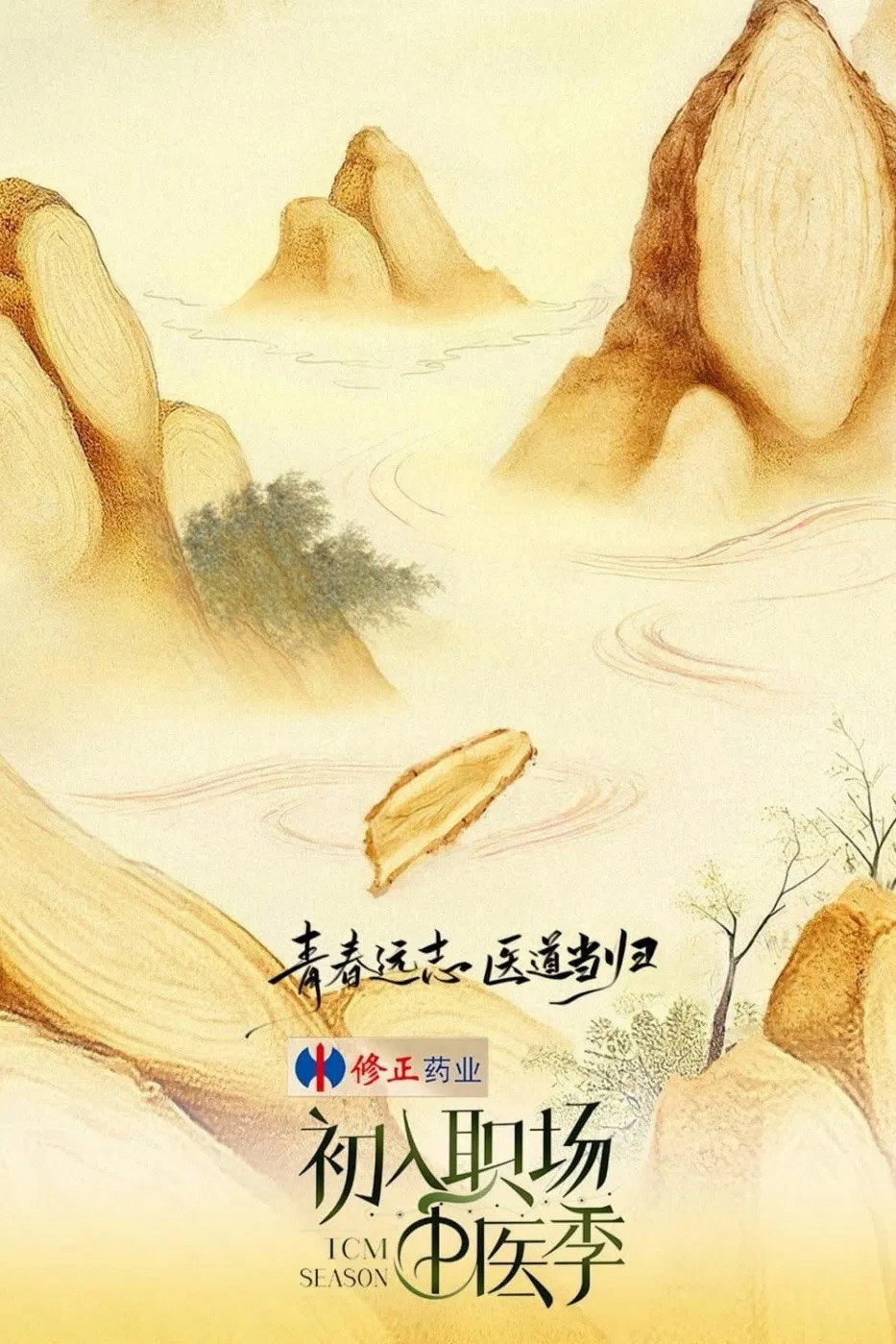 初入职场
