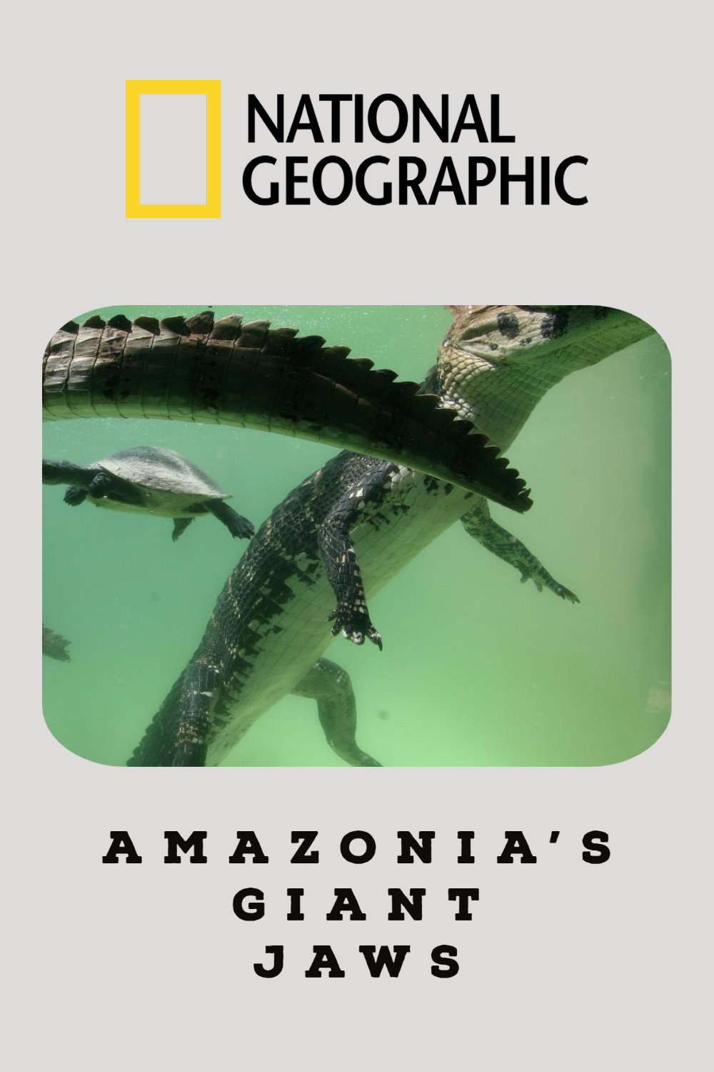 Amazonia's Giant Jaws