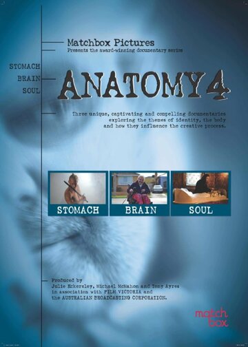 Anatomy