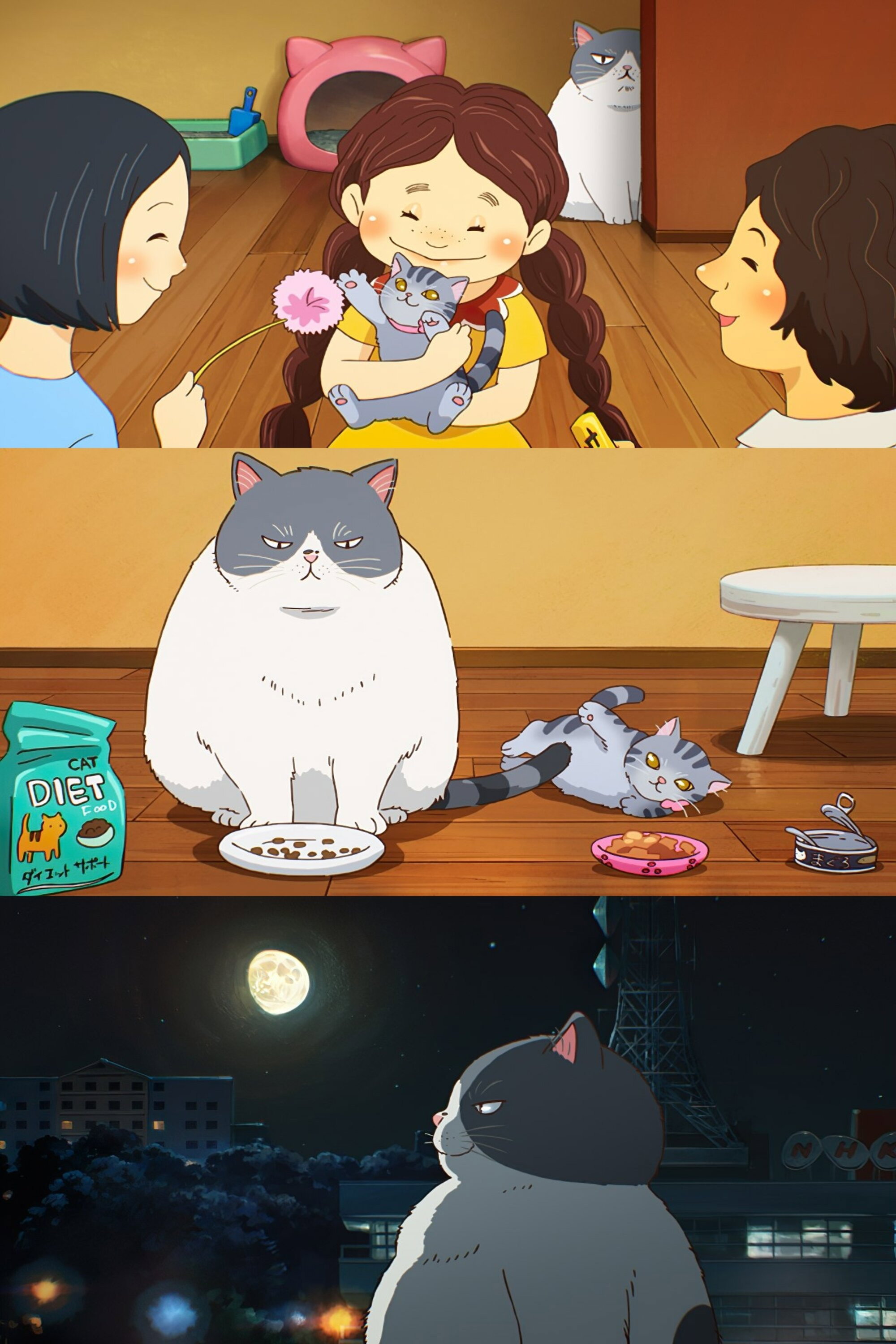 かなしきデブ猫ちゃん