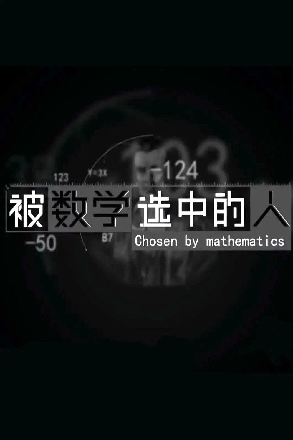 被数学选中的人