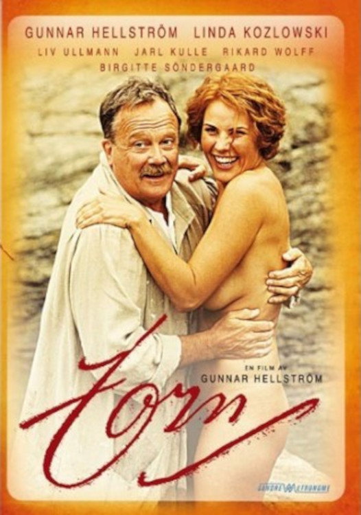 Zorn