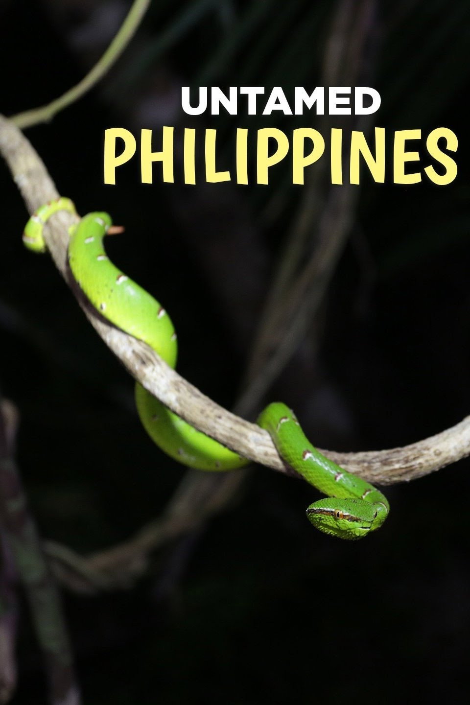 Die wilden Philippinen