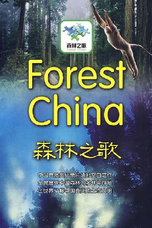 森林之歌