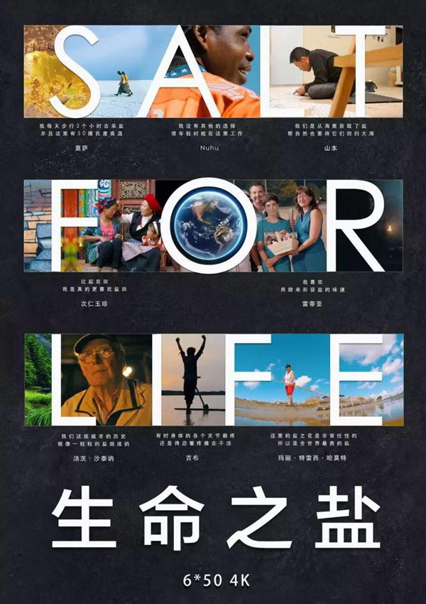 生命之盐