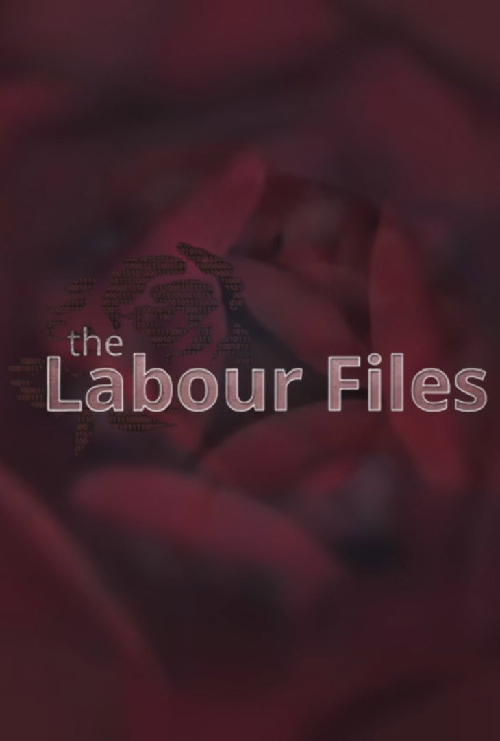 The Labour Files