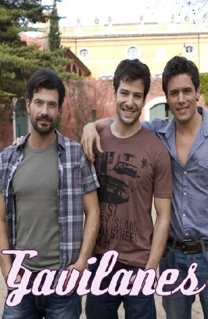 Gavilanes
