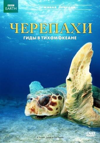 A Turtle's Guide to the Pacific