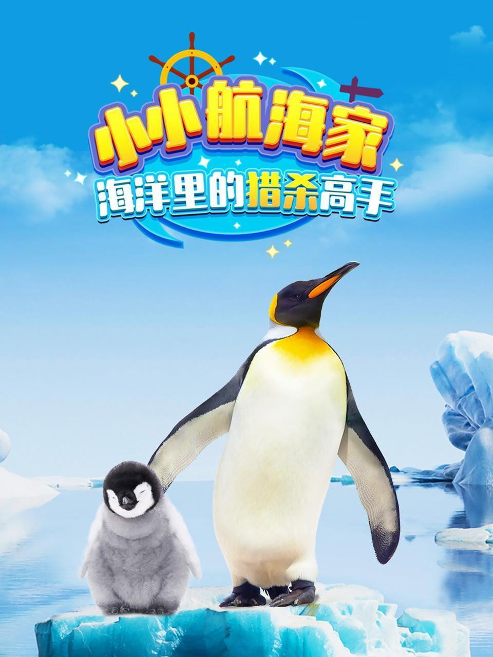 小小航海家海洋里的猎杀高手