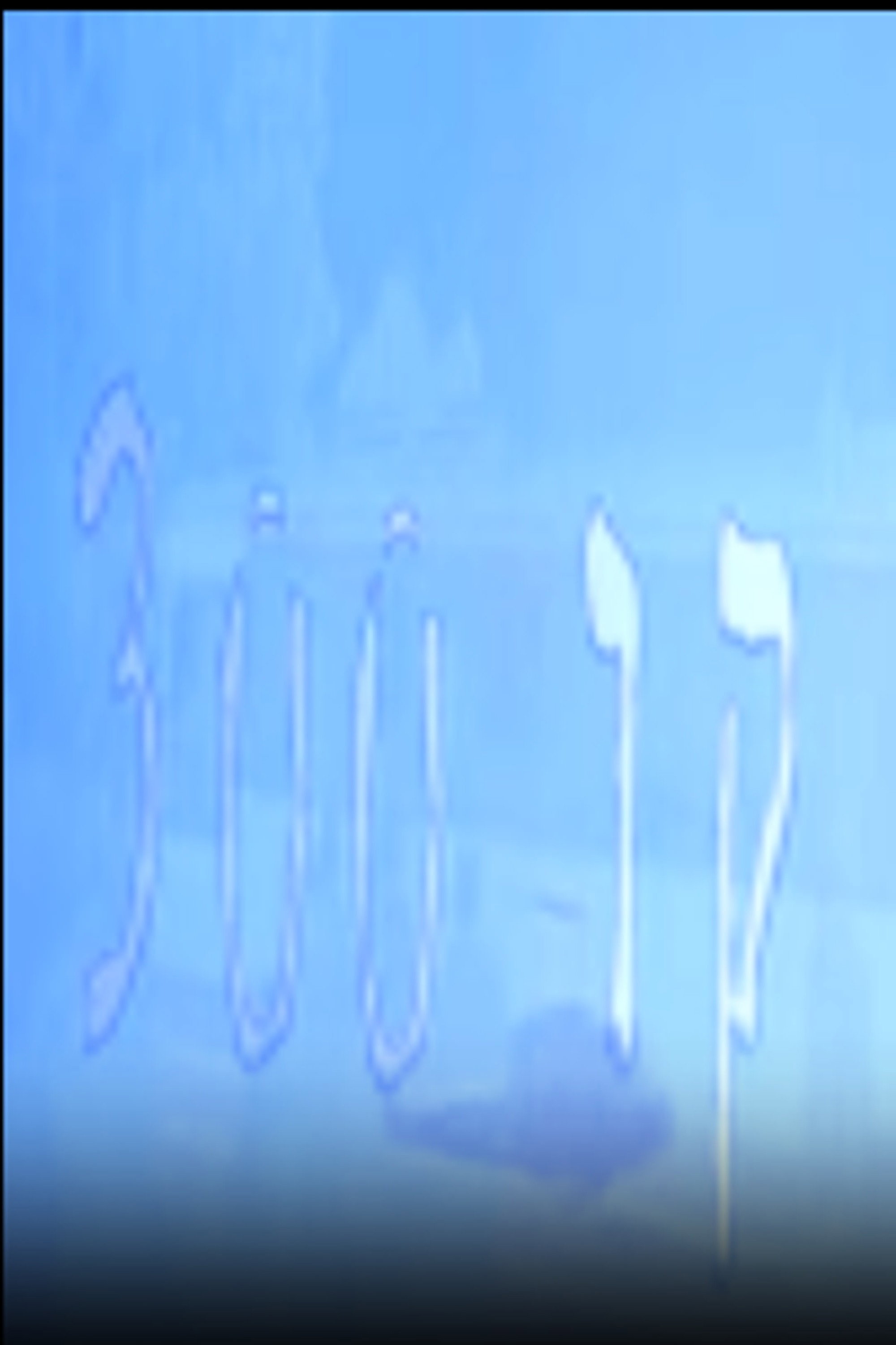 קו 300