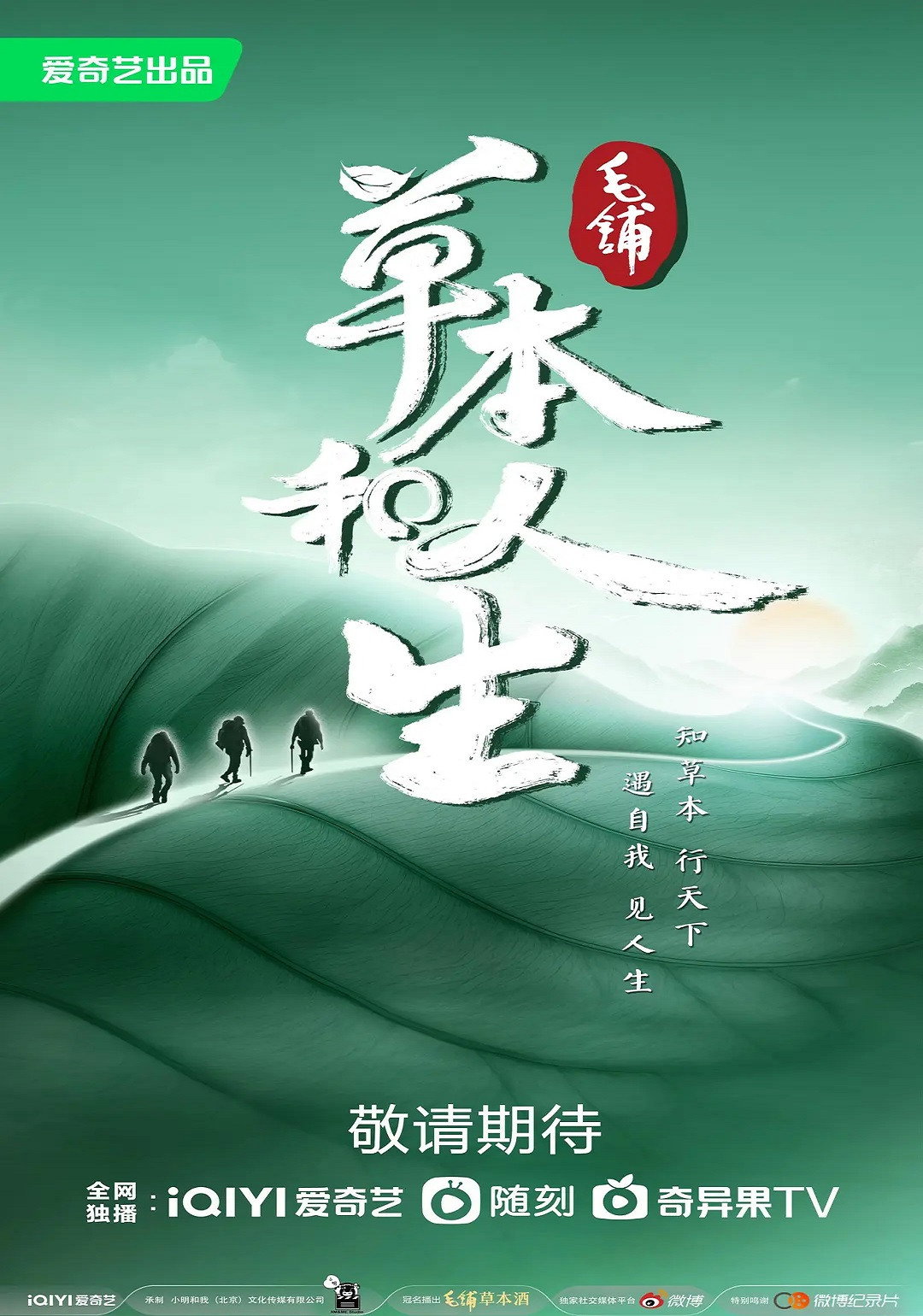 草本和人生