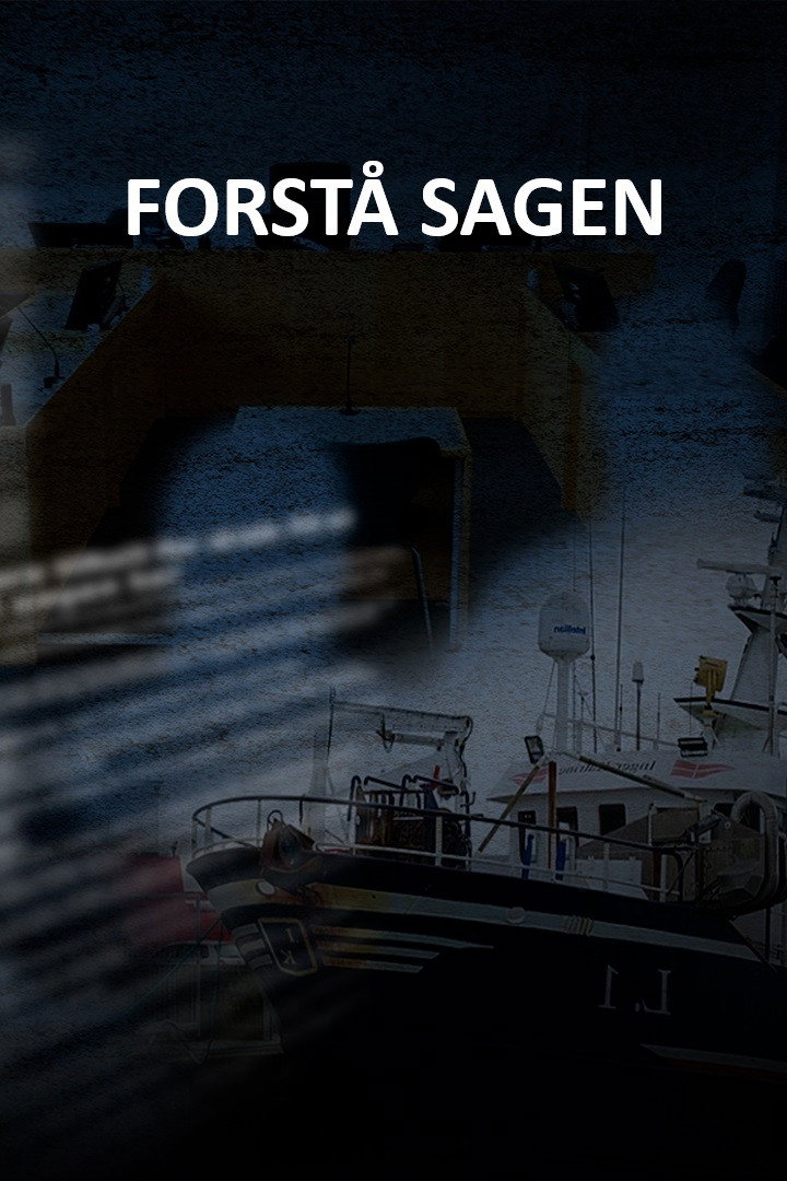 Forstå sagen
