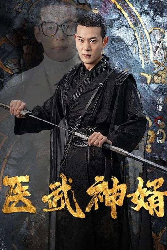 医武神婿